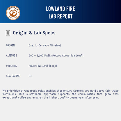Lowland Fire